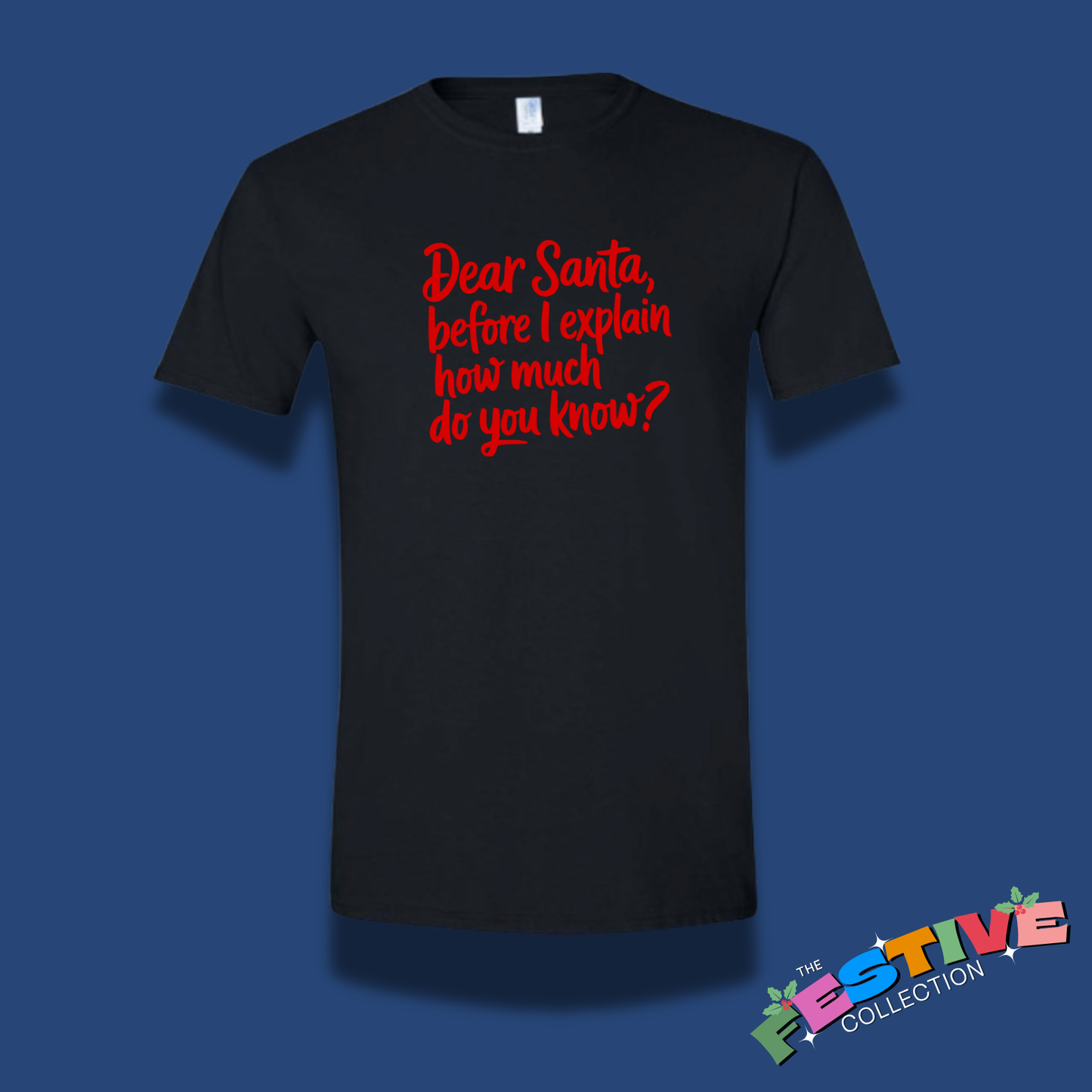 Dear Santa I Can Explain T-Shirt